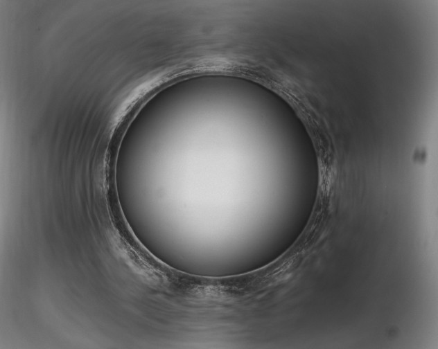 X0000116820244200912181415