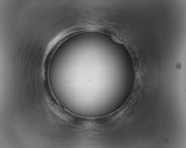 X0000116820246200912181415