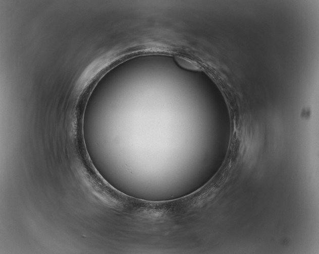 X0000116820247200912181415