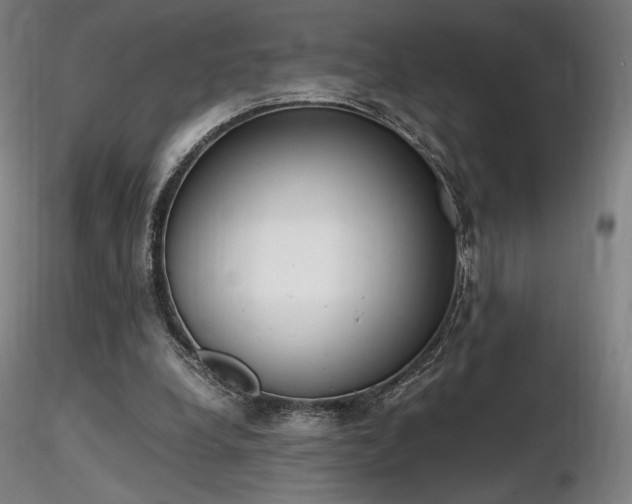 X0000116820248200912181415