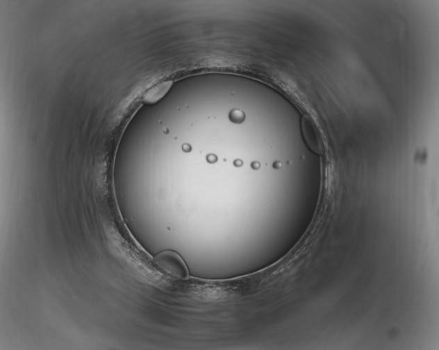 X0000116820249200912181415