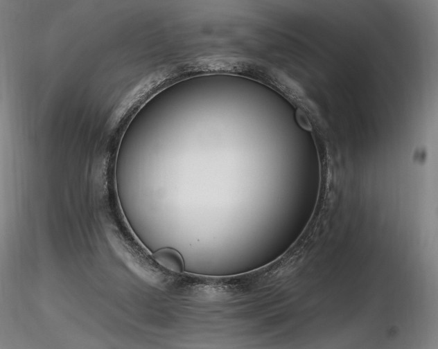 X0000116820250200912181415