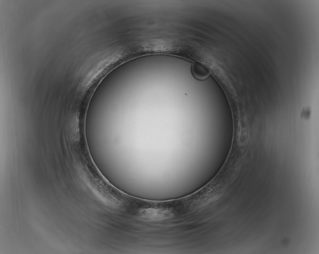 X0000116820251200912181415