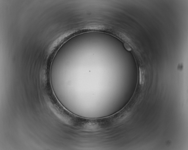 X0000116820252200912181415