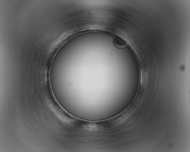 X0000116820253200912181415