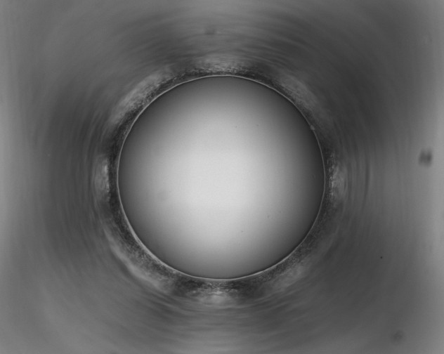 X0000116820254200912181415