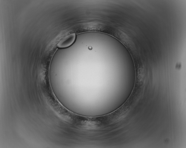 X0000116820255200912181415