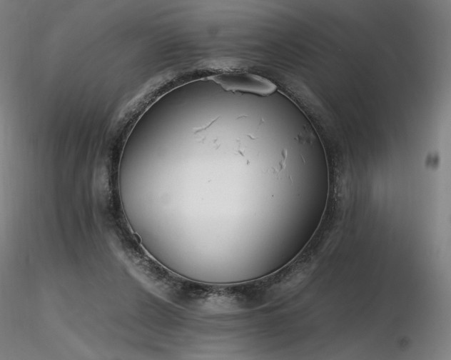 X0000116820256200912181415