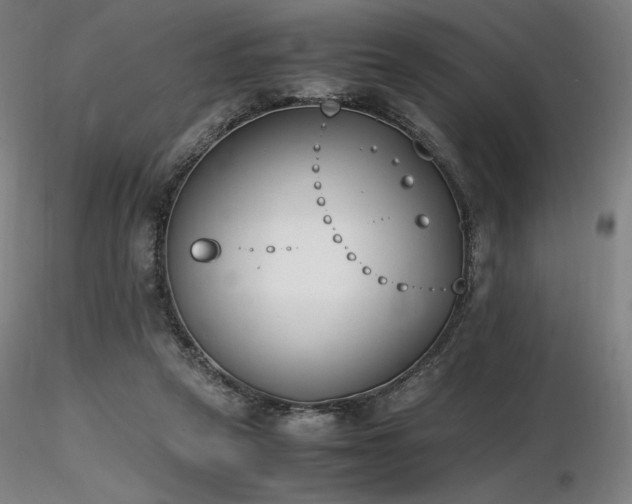 X0000116820257200912181415