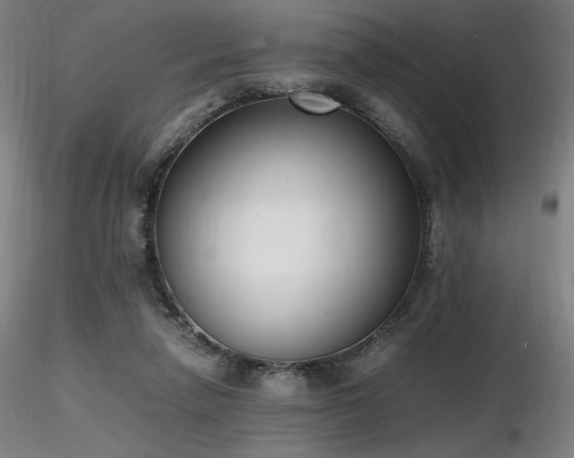 X0000116820258200912181415