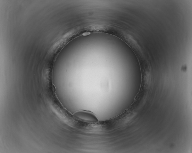 X0000116820260200912181415