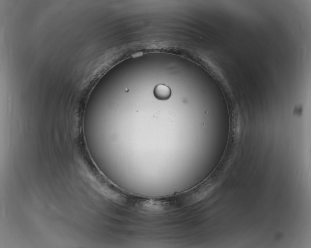 X0000116820261200912181415