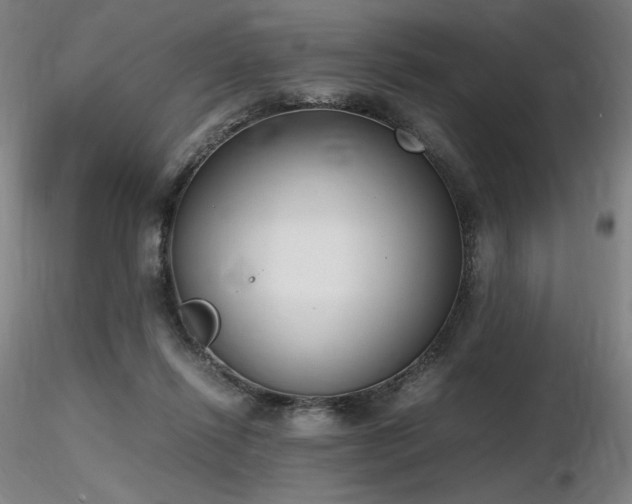 X0000116820262200912181415