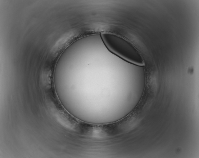 X0000116820264200912181415