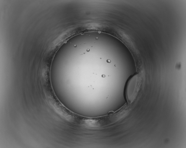 X0000116820265200912181415