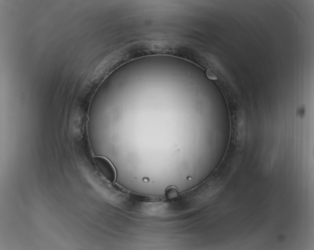 X0000116820266200912181415