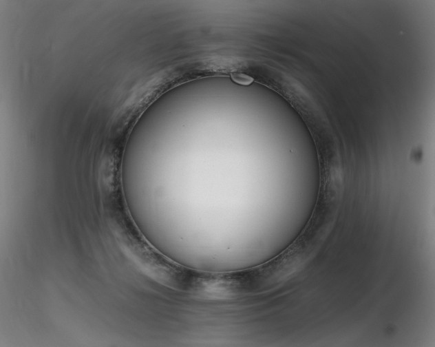 X0000116820268200912181415