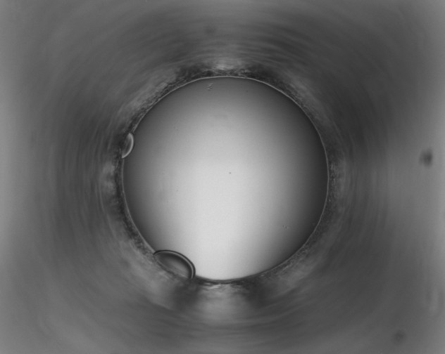 X0000116820269200912181415