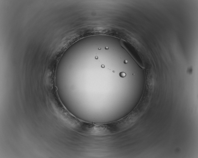 X0000116820270200912181415