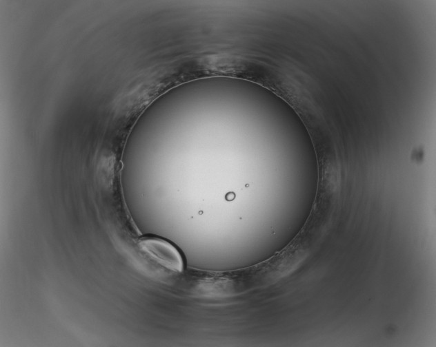 X0000116820271200912181415