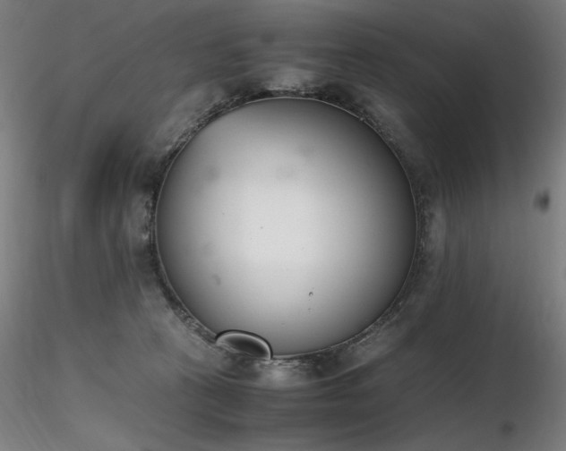 X0000116820273200912181415