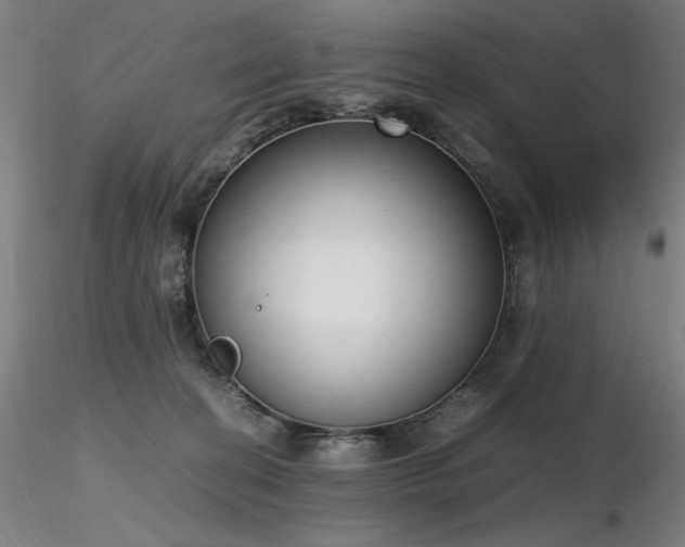 X0000116820274200912181415