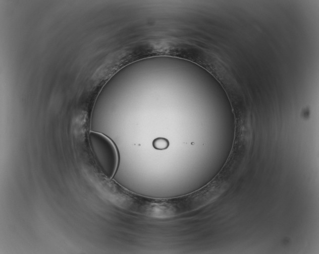 X0000116820275200912181415