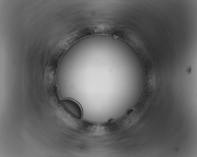 X0000116820276200912181415