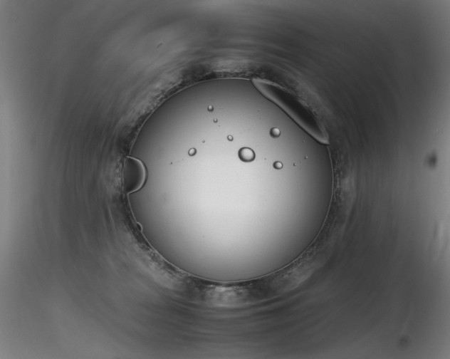 X0000116820277200912181415