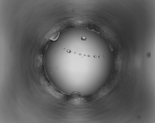 X0000116820278200912181415