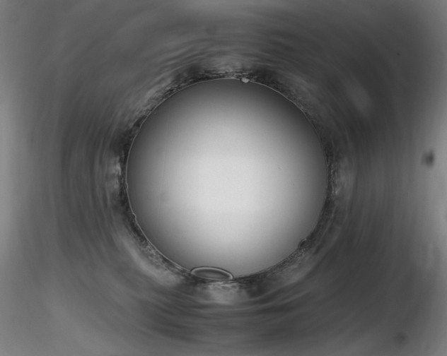 X0000116820279200912181415