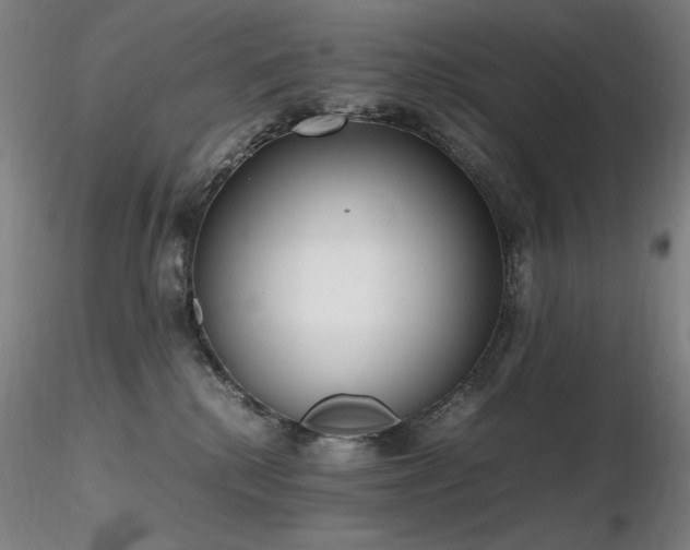 X0000116820280200912181415