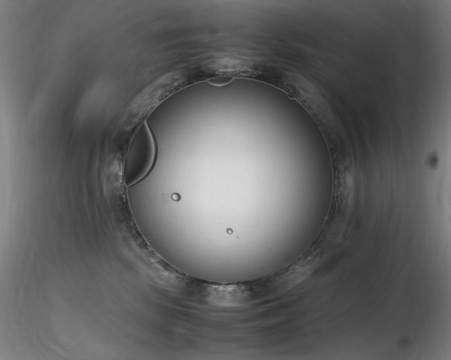 X0000116820281200912181415