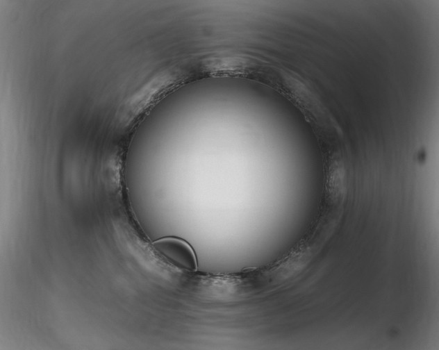 X0000116820282200912181415