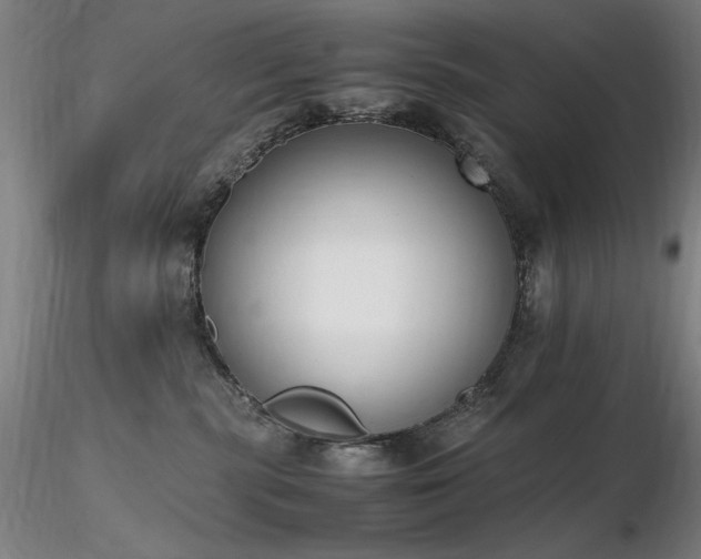 X0000116820283200912181415