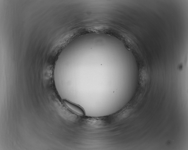 X0000116820284200912181415