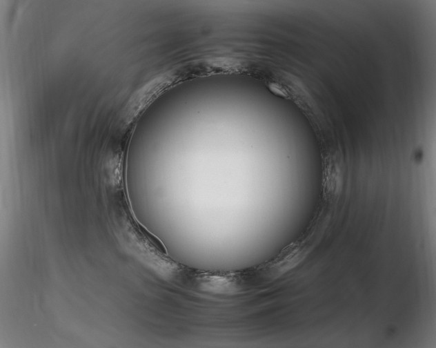 X0000116820285200912181415