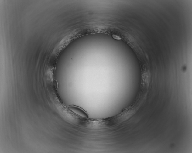 X0000116820286200912181415