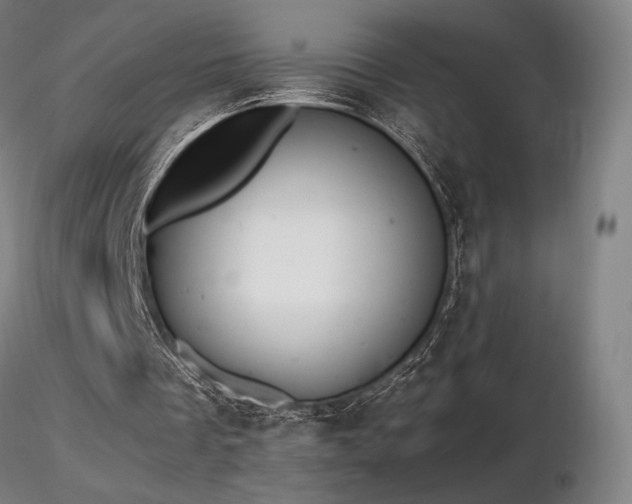 X0000116820289200912181415