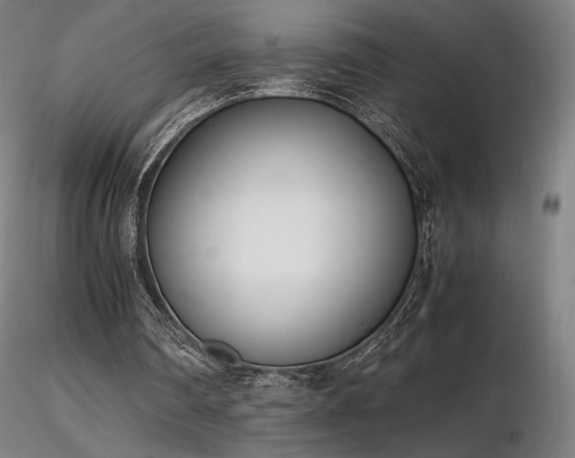 X0000116820290200912181415