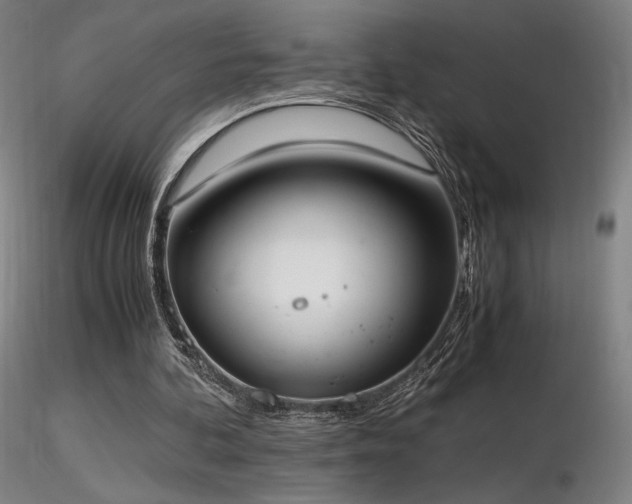 X0000116820292200912181415