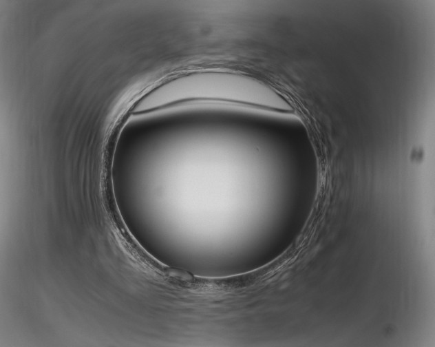 X0000116820293200912181415