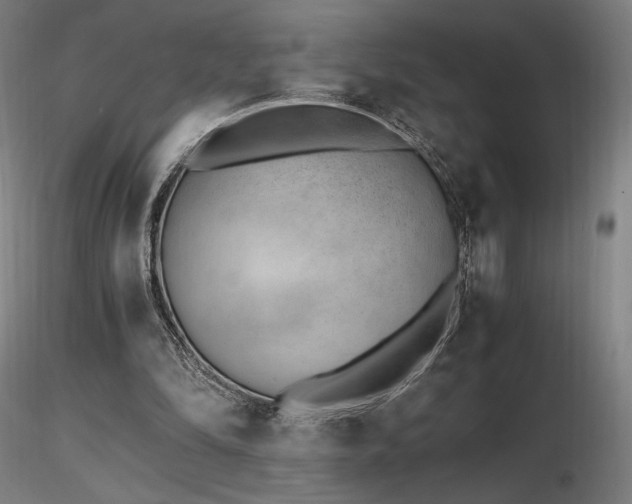 X0000116820294200912181415