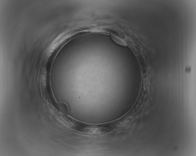 X0000116820295200912181415