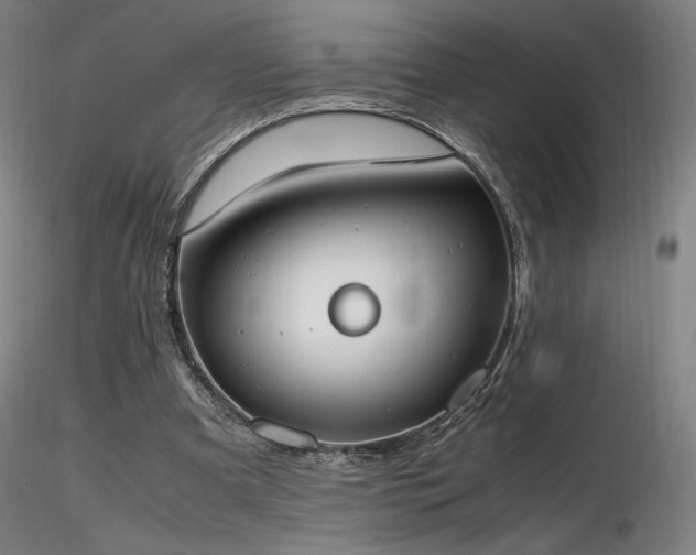 X0000116820297200912181414