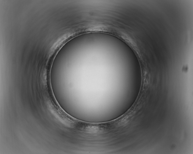 X0000116820298200912181414