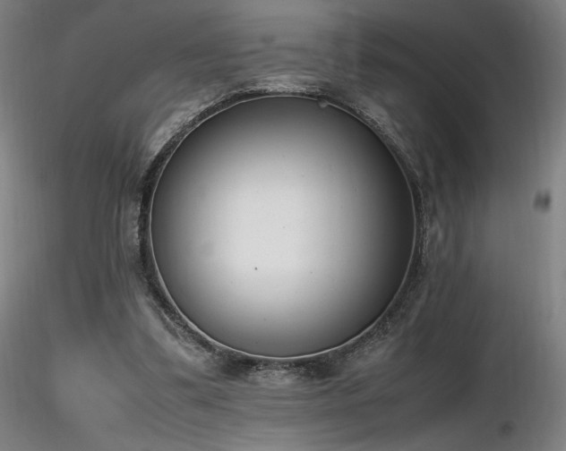 X0000116820299200912181414