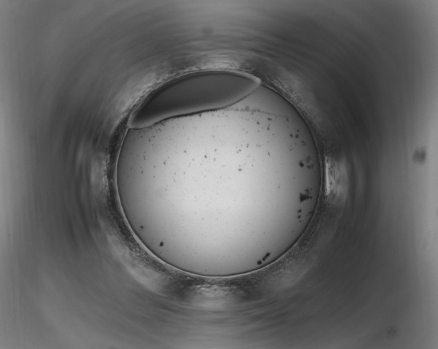 X0000116820300200912181414