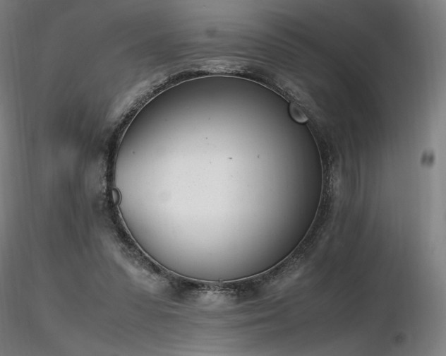 X0000116820303200912181414