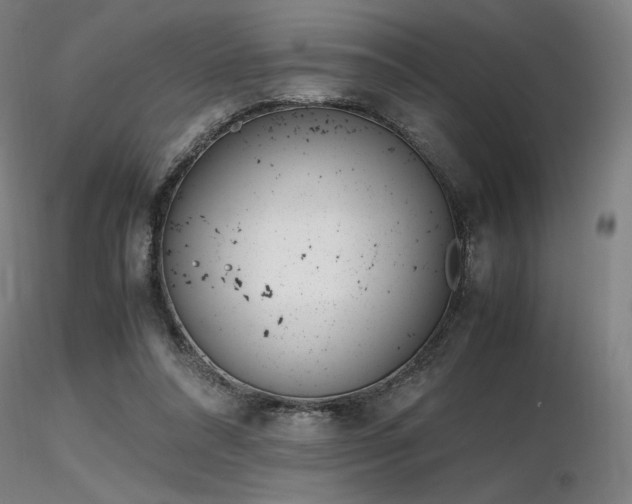 X0000116820304200912181414